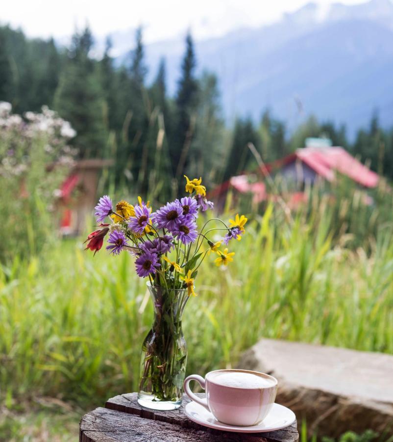 Heather Mountain Lodge Rogers Pass エクステリア 写真